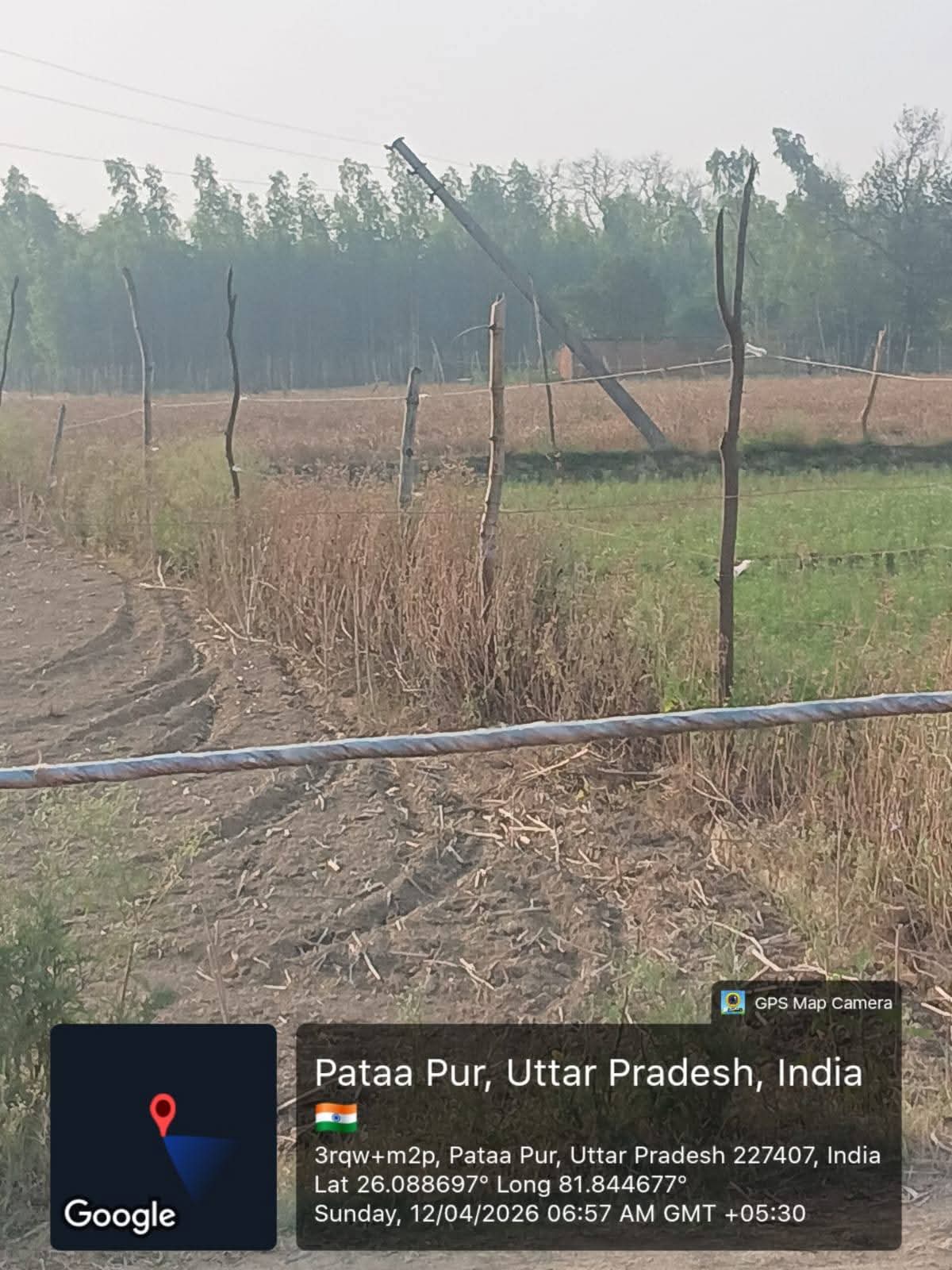 झुके हुए बिजली पोल से मंडरा रहा खतरा, गेहूं की फसल जलने की आशंका